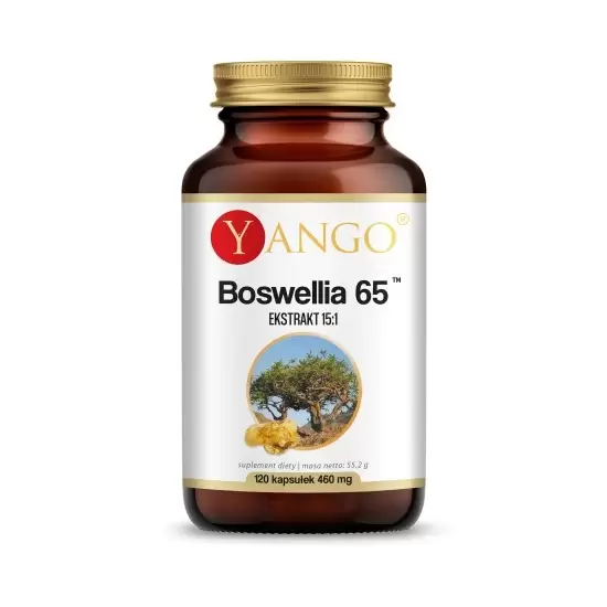 Boswellia 65tm 375mg 120tabl - Yango