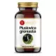 Pluskwica groniasta 390 mg menopauza 60kaps - Yango
